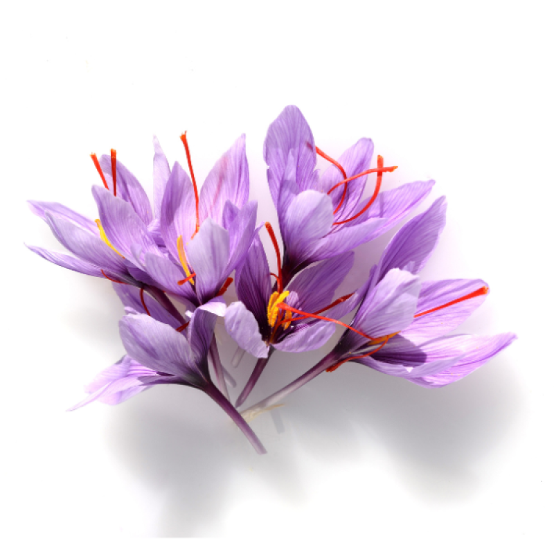 Kashmiri Saffron- Mongra