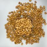 Kashmiri Almond Giri