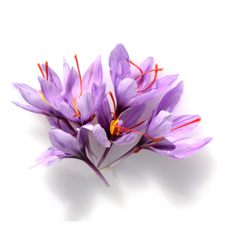 Organic Kashmiri Saffron