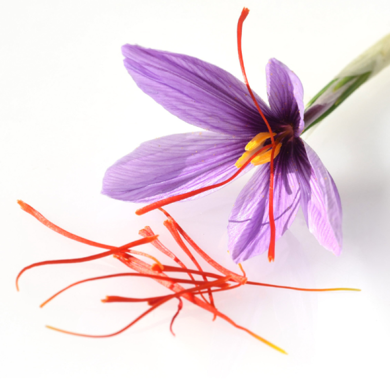 Organic Kashmiri Saffron